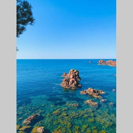 Superbe 4 Couchages Avec Terrasse - Clim - 50M De La Mer Saint-Raphaël Exterior foto