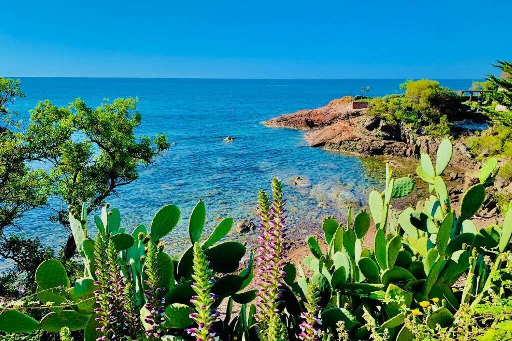 Superbe 4 Couchages Avec Terrasse - Clim - 50M De La Mer Saint-Raphaël Exterior foto