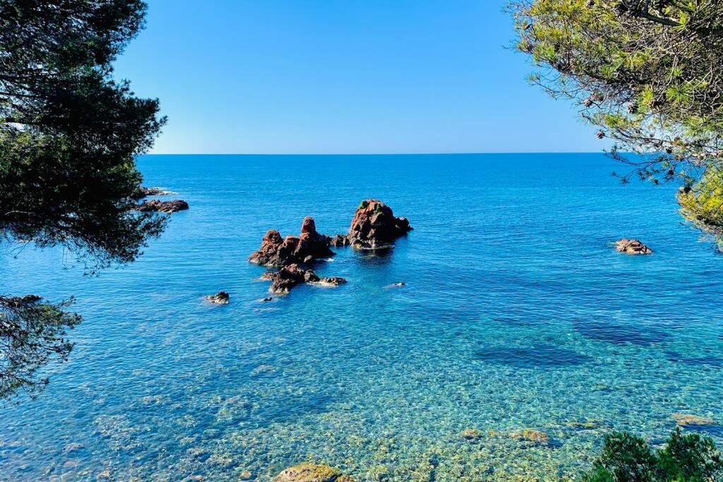 Superbe 4 Couchages Avec Terrasse - Clim - 50M De La Mer Saint-Raphaël Exterior foto